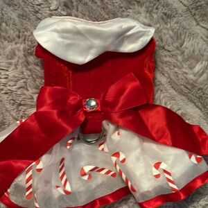 Girl xxsmall doggie clothes